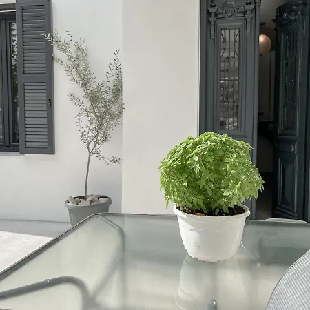 Katie'S Lemon Tree House Βίλα Βόλος Εξωτερικό φωτογραφία